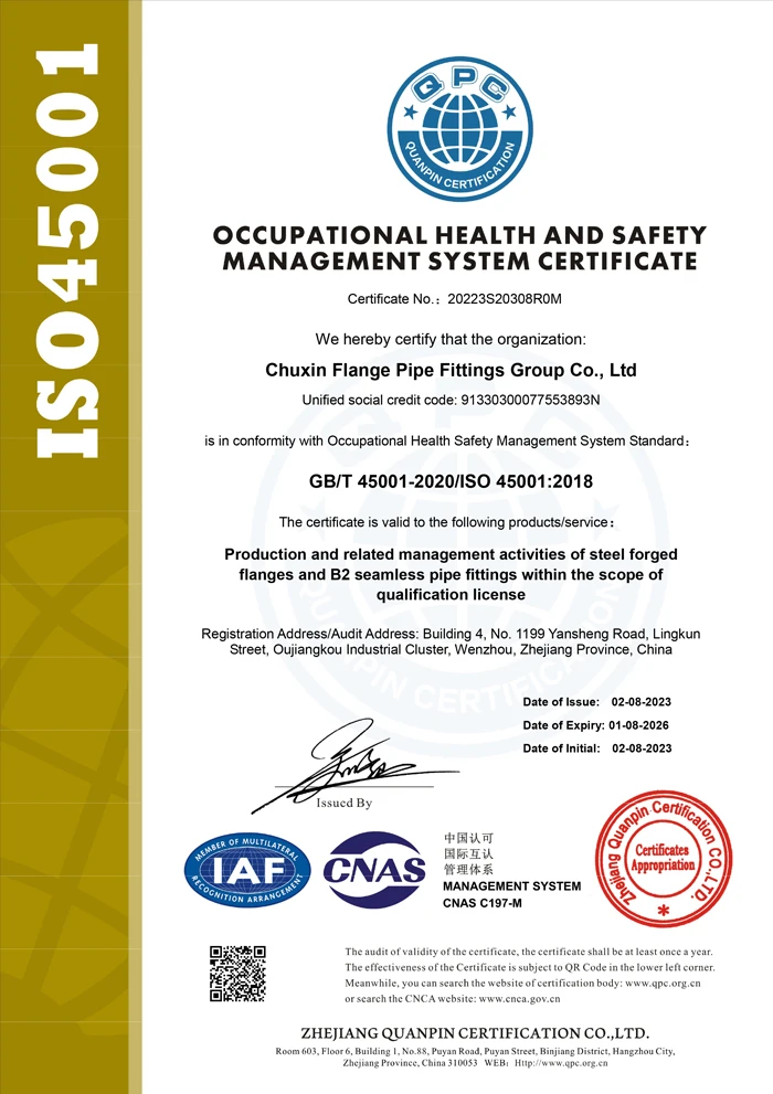 ISO450012020